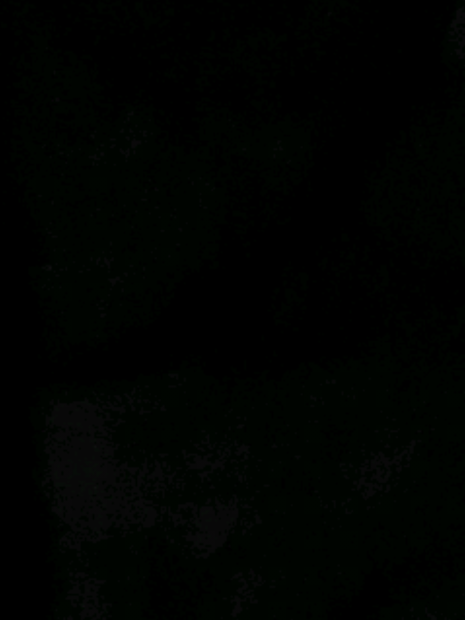 @sxdyrrr
