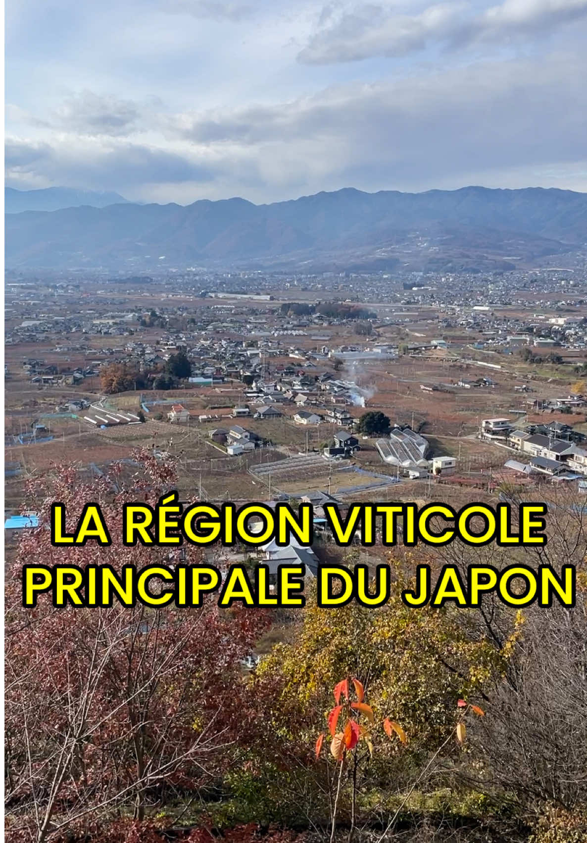 @Le Goût des Racines