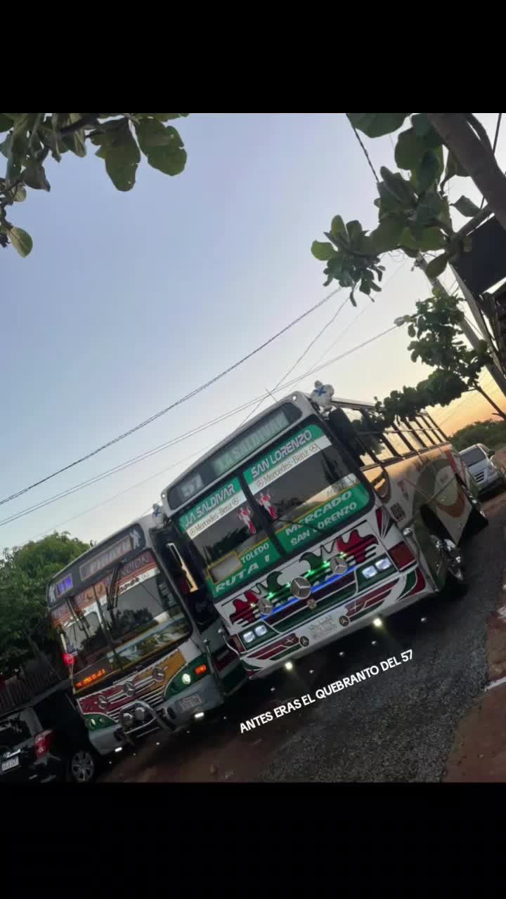 @Tu Guardita Alex 🇳🇱🇳🇱🚍