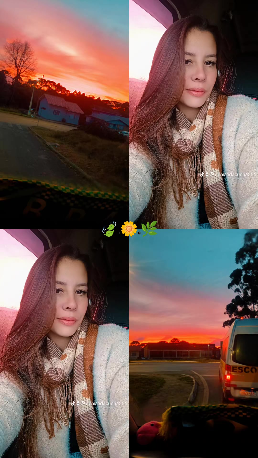 @Denise da Cunha566