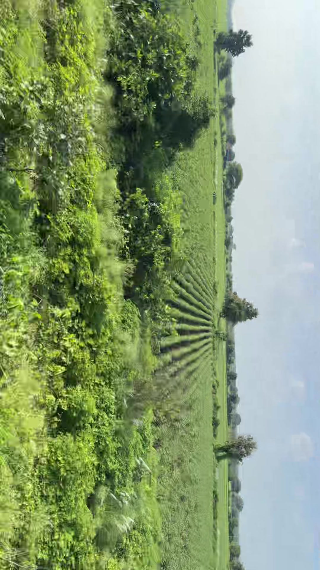 @Akash AJ Joshi
