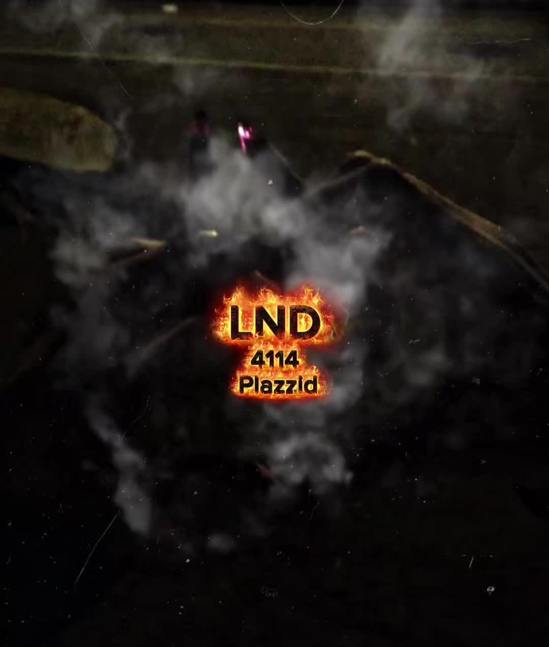 @4114plazzid