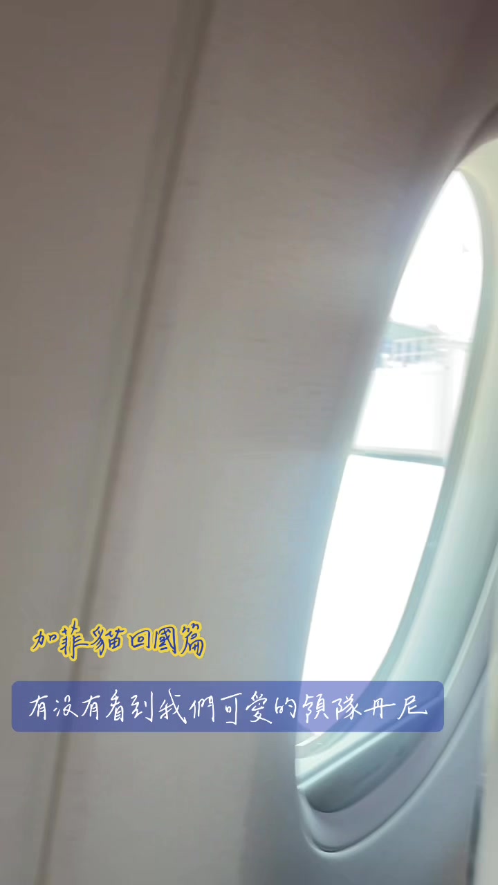 @愛吃東西的加菲貓吧💕