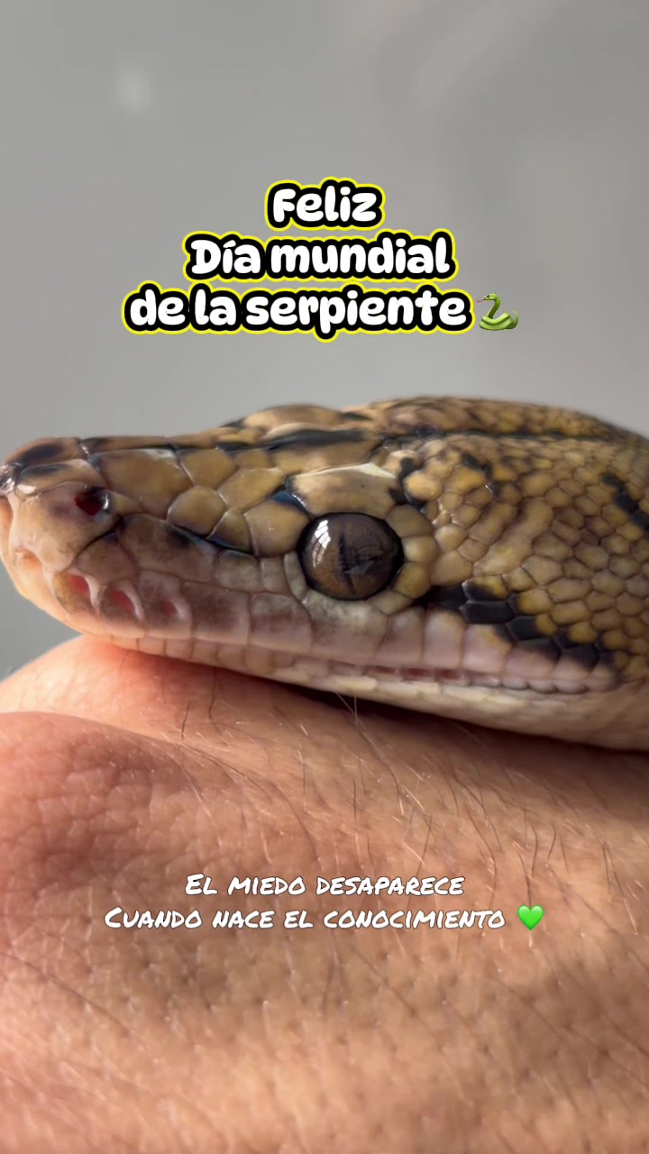 @Ibonne  Guzm&aacute;n 💎🐍