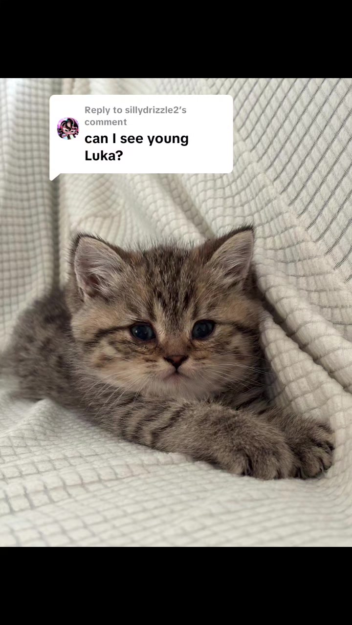 @Luka