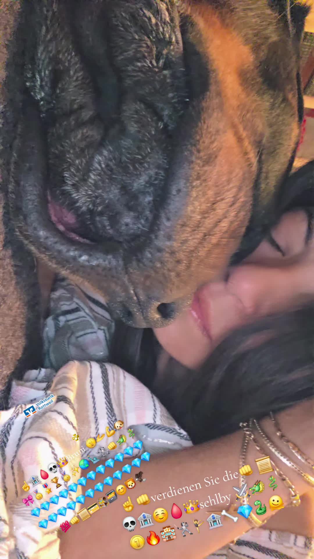 @Rottweiler Bruno