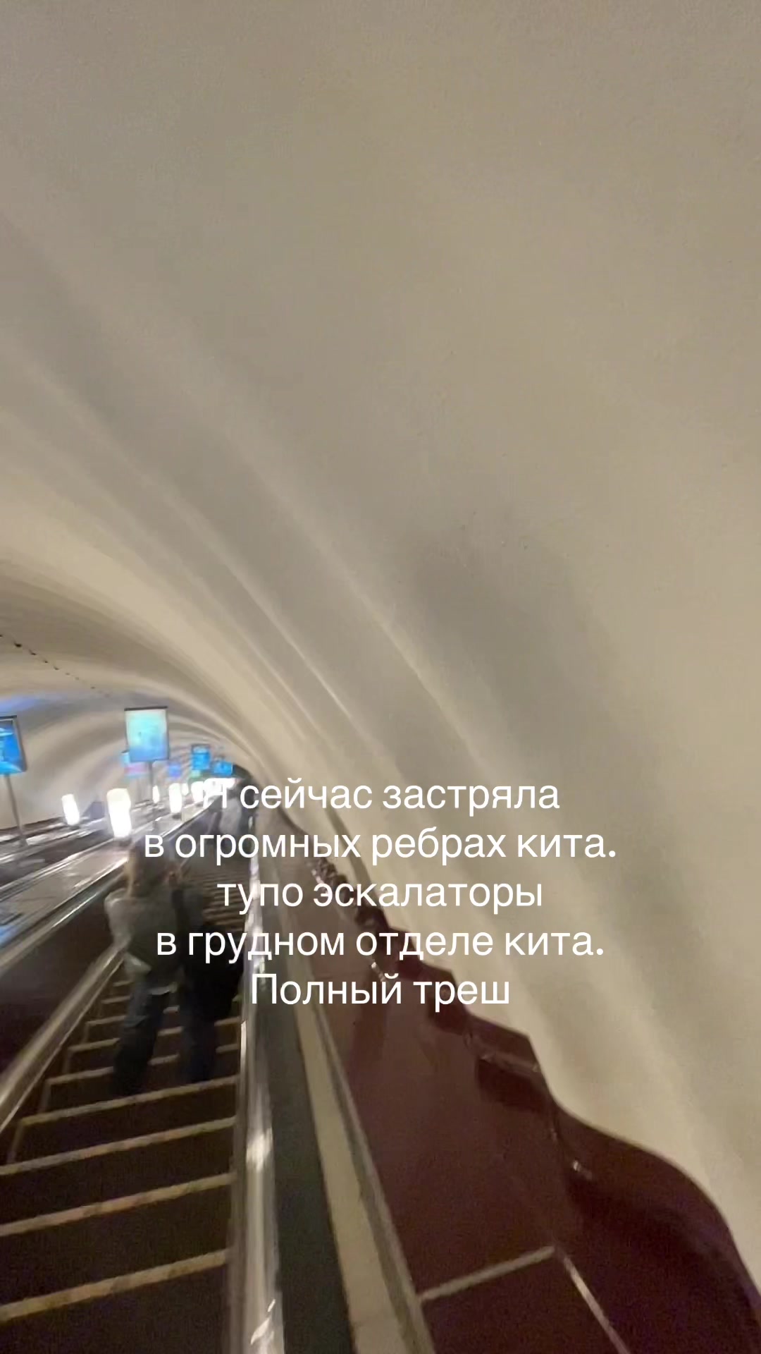 @Вероничка