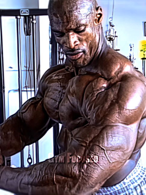 @Gym Focused