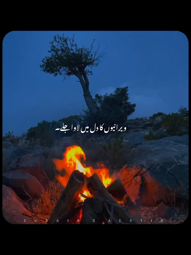 @𝙕𝙐𝘽𝘼𝙄𝙍 𝙓 𝘼𝙀𝙎𝙏𝙄𝙓🎧