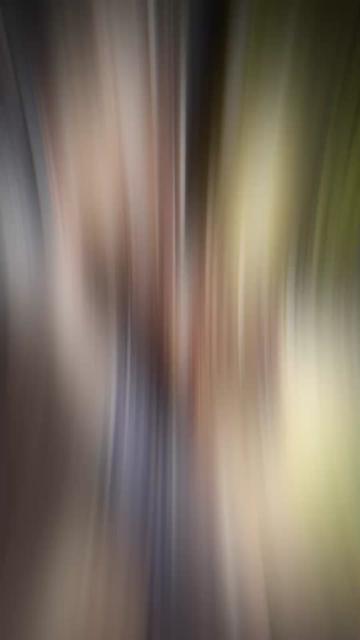 @_B8_