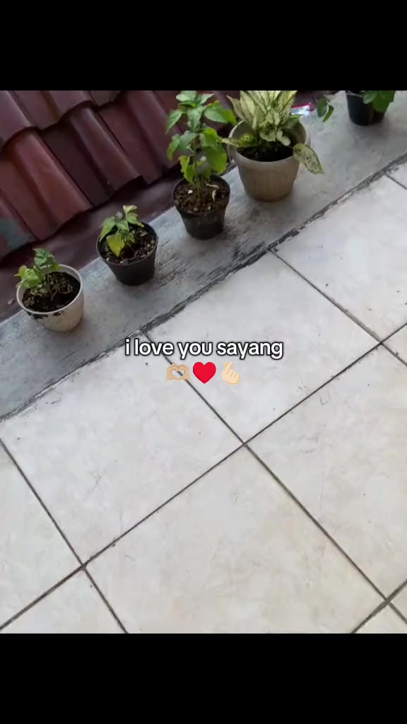 @𝙈𝙯 𝙁𝙞𝙣𝙣