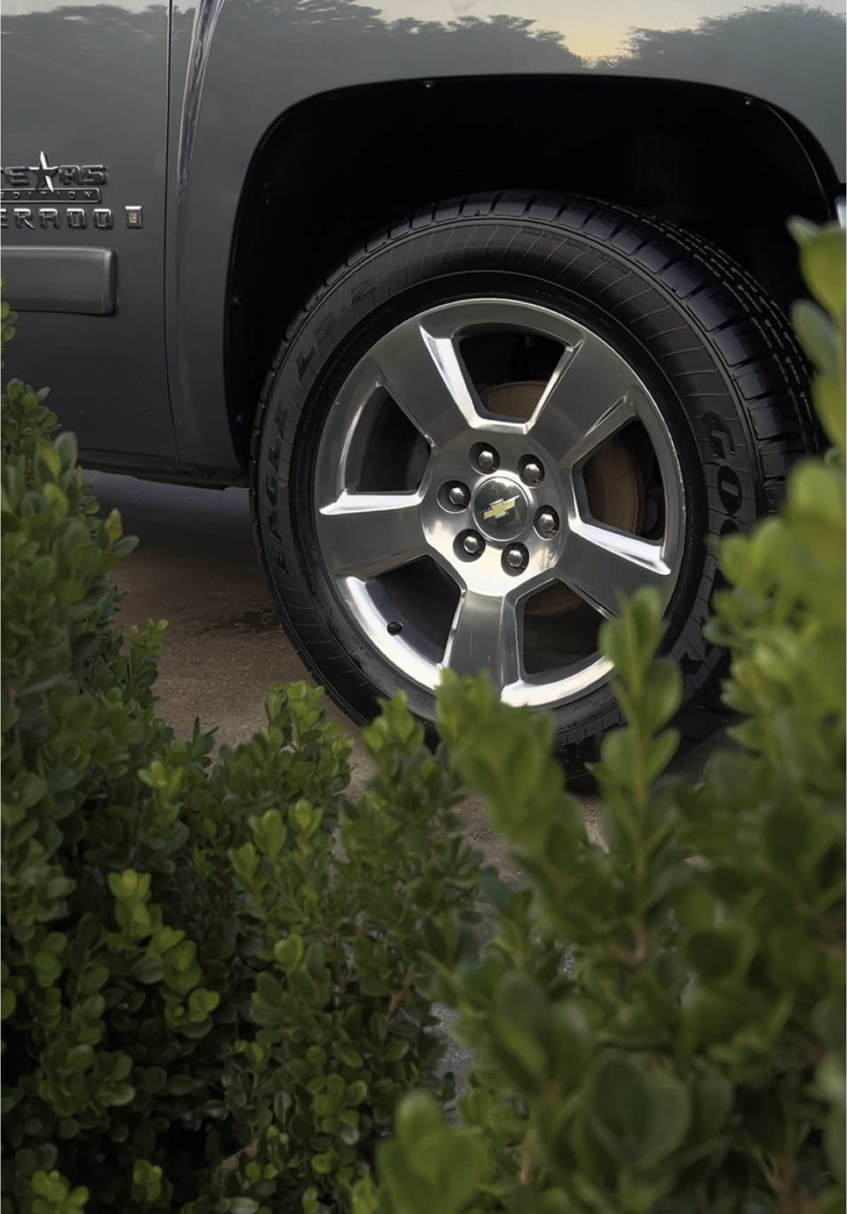 @713_detailing_