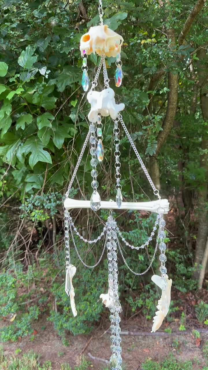 @🕯️Madame L&rsquo;s Art Oddities🕯️