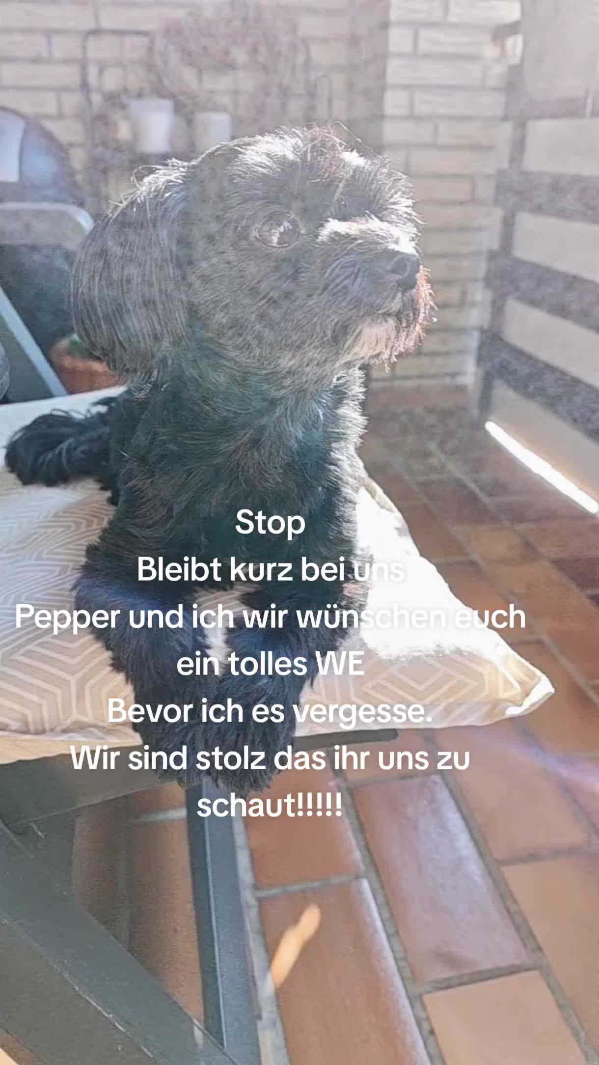 @P&ouml;ppi