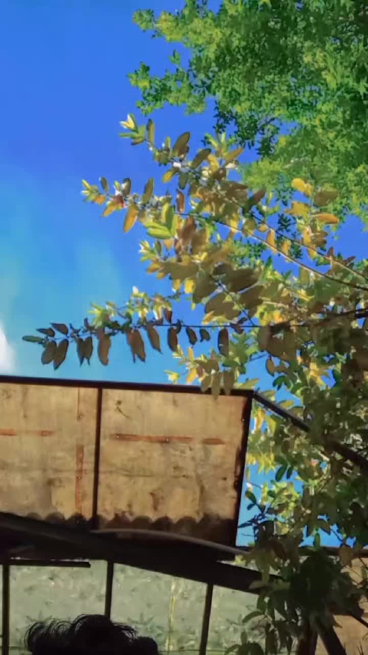 @Falakkhan &hearts;️ 302✌️