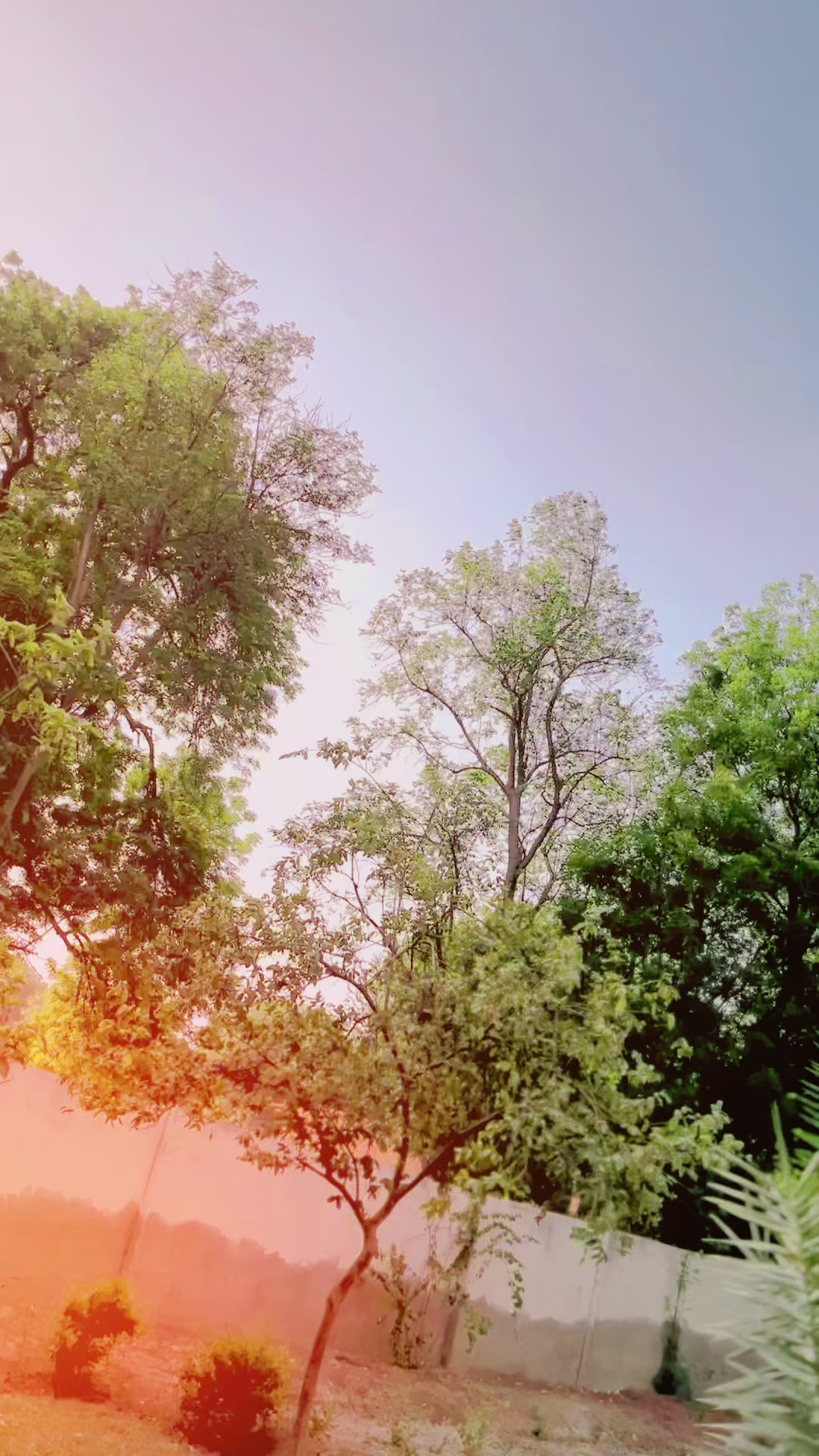 @𝓐ᥫ᭡.𝓐ᥫ᭡