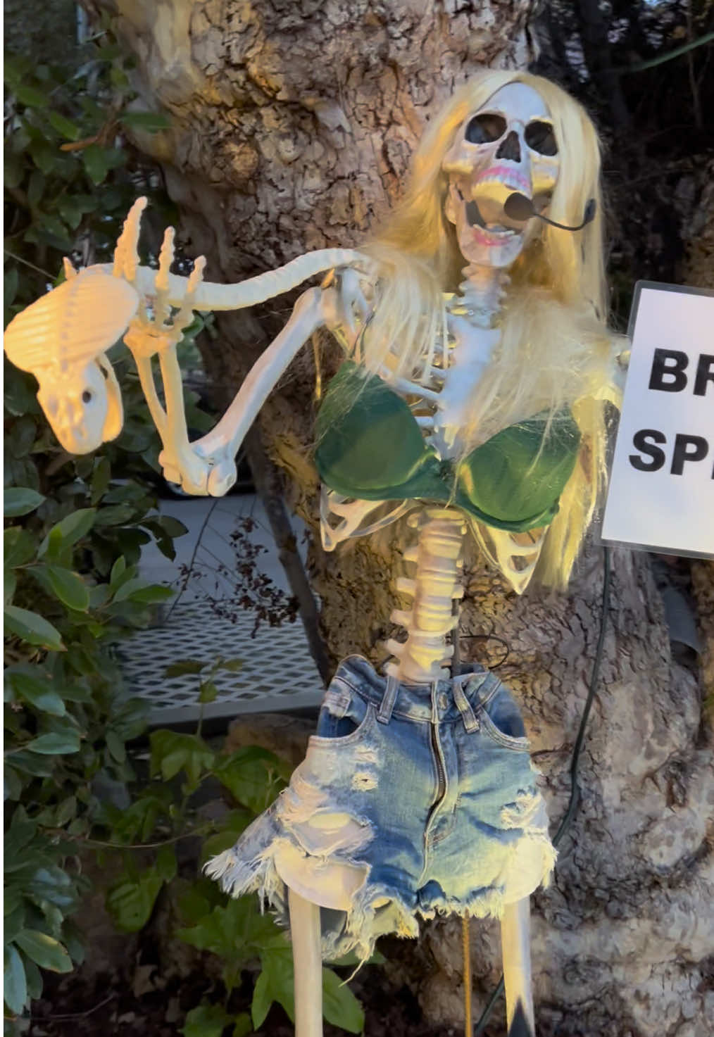 @The Bones Home
