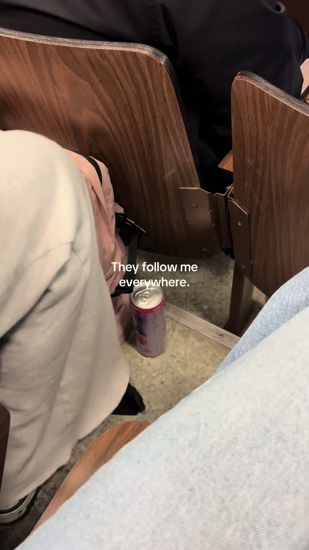 @lily bella