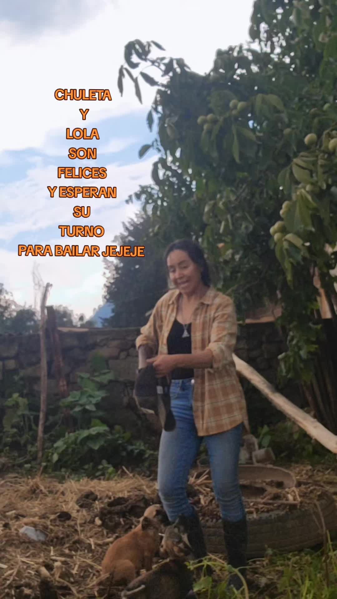 @E🤎V🍁G