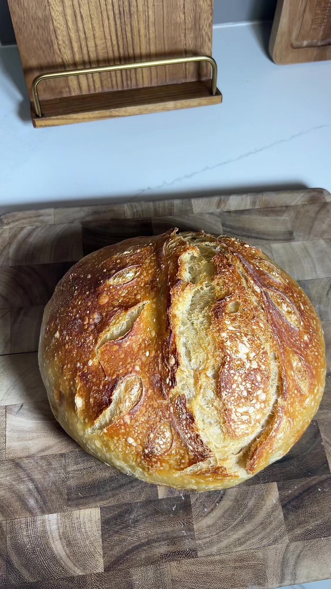@_hannahhayley_
