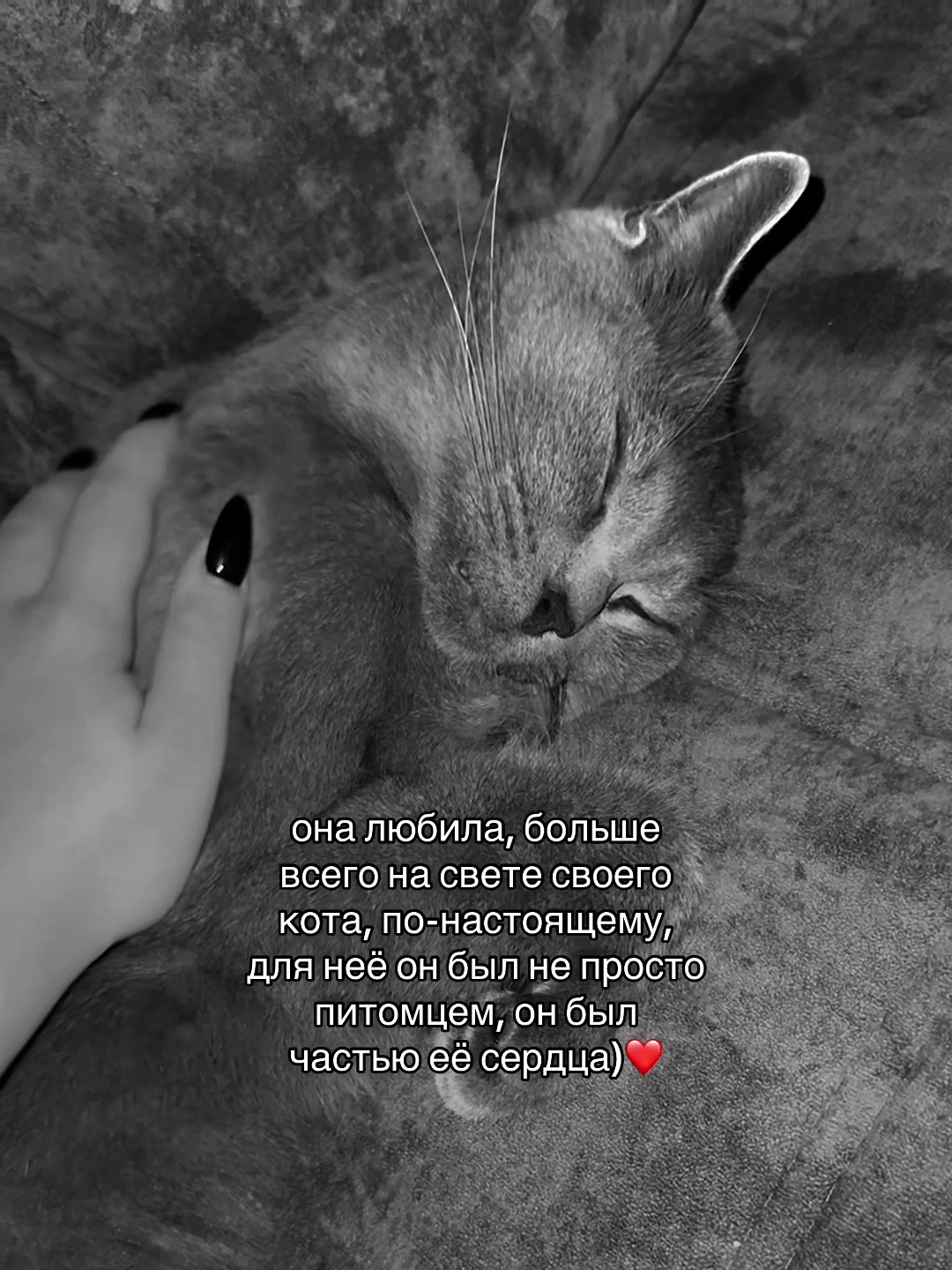 @анет