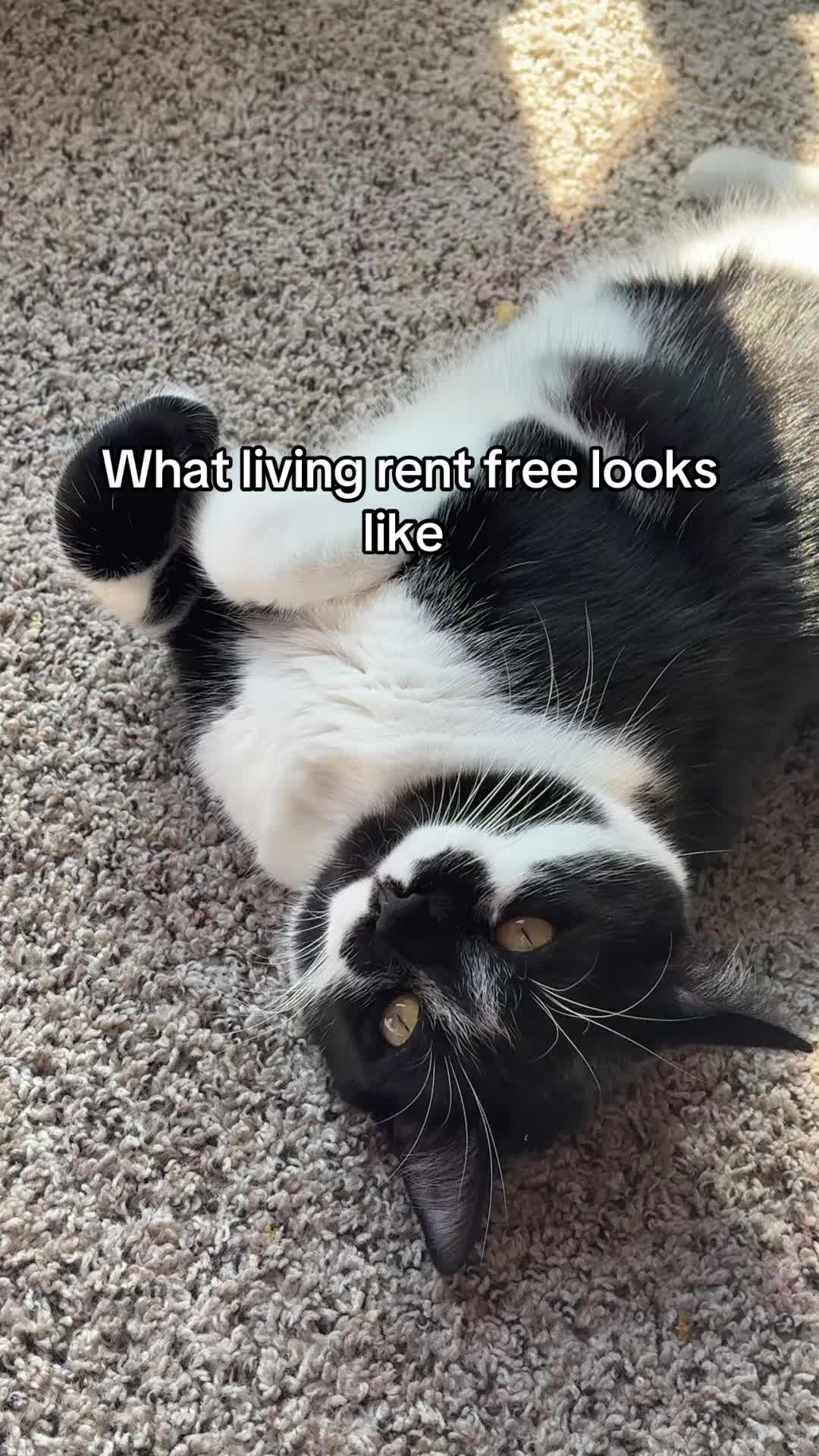 @Kat