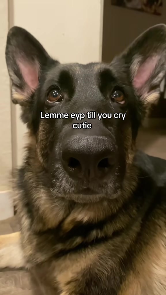 @Bhris
