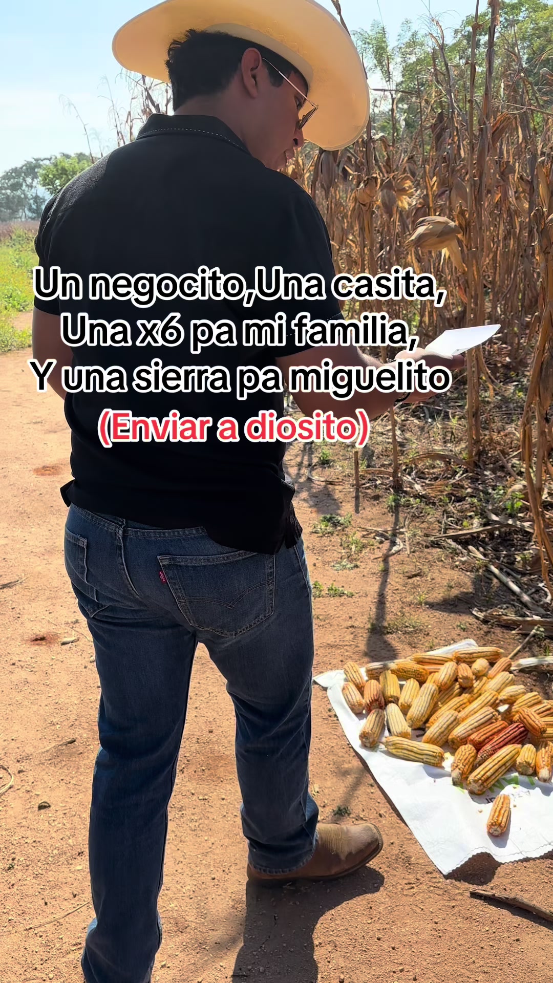 @Agro Mancilla