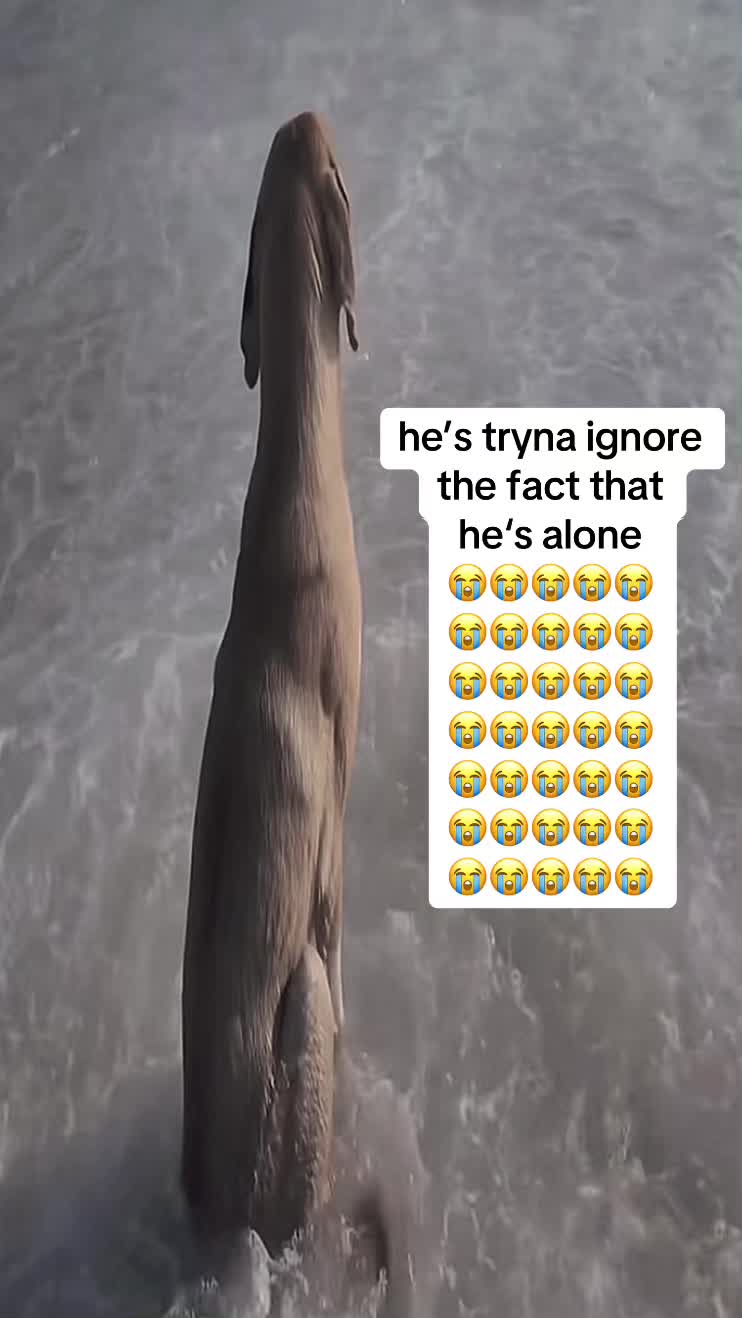 @Harry.ber1in 🪖 | r3ge