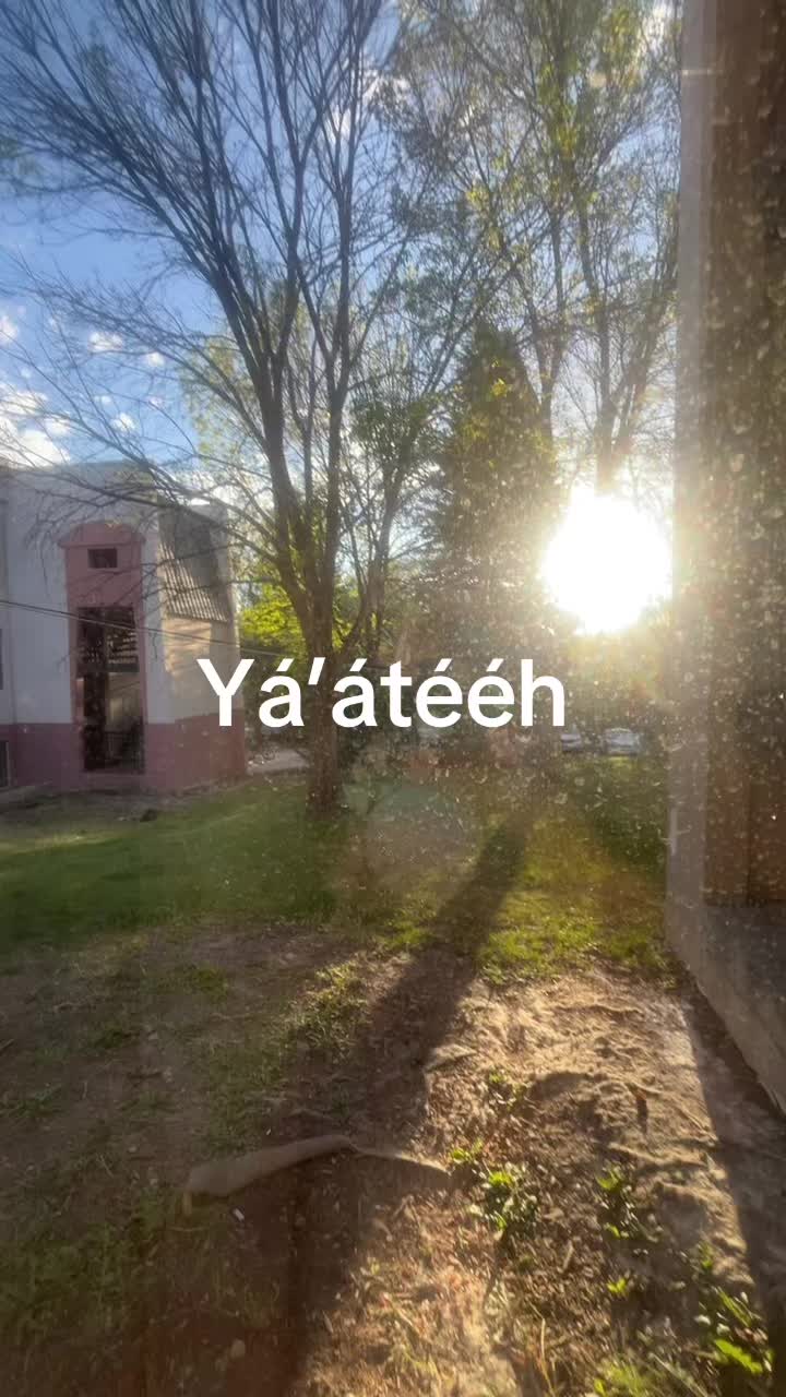 @Asdzáá_Colorado 🌸
