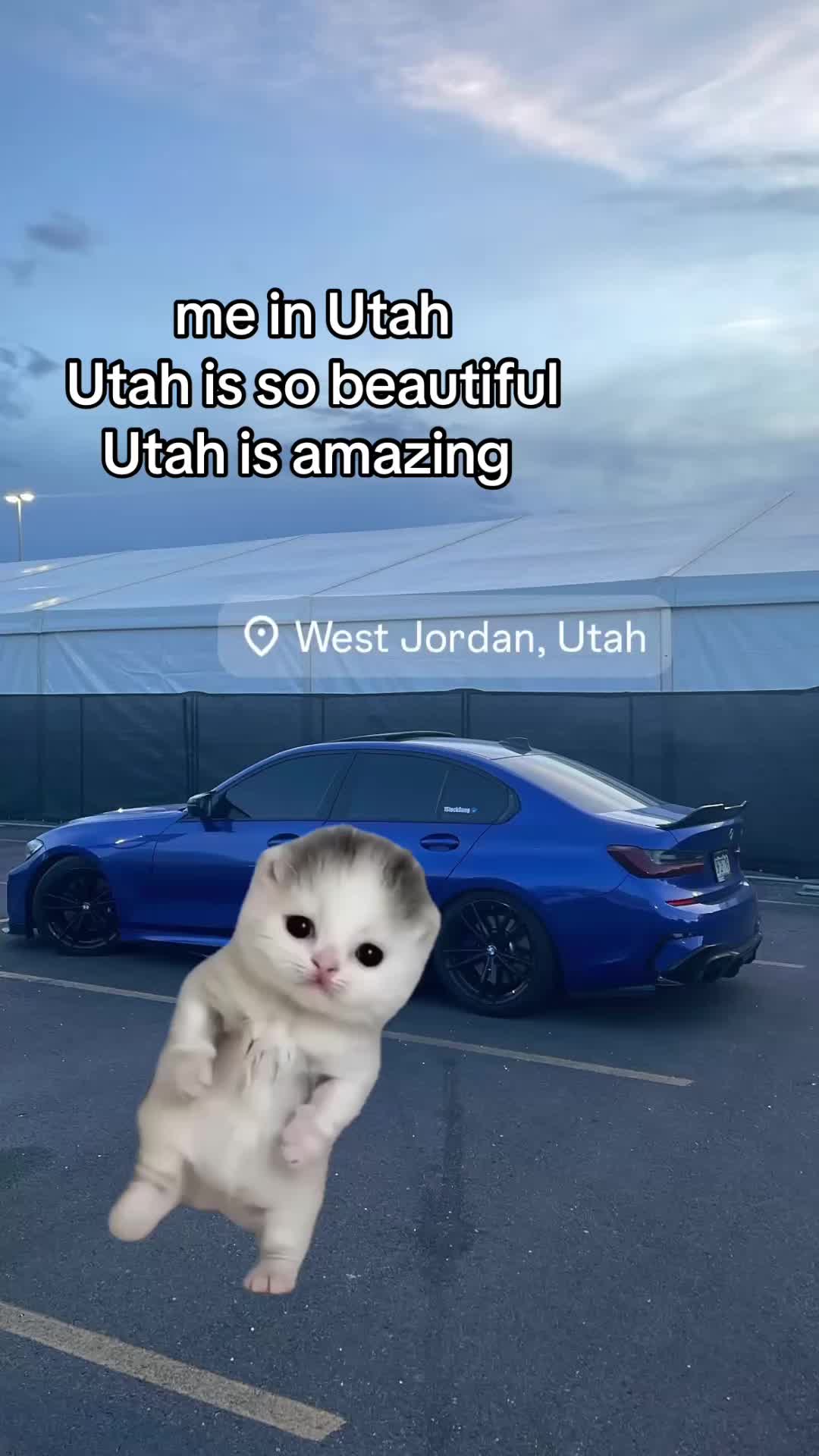 @🪪