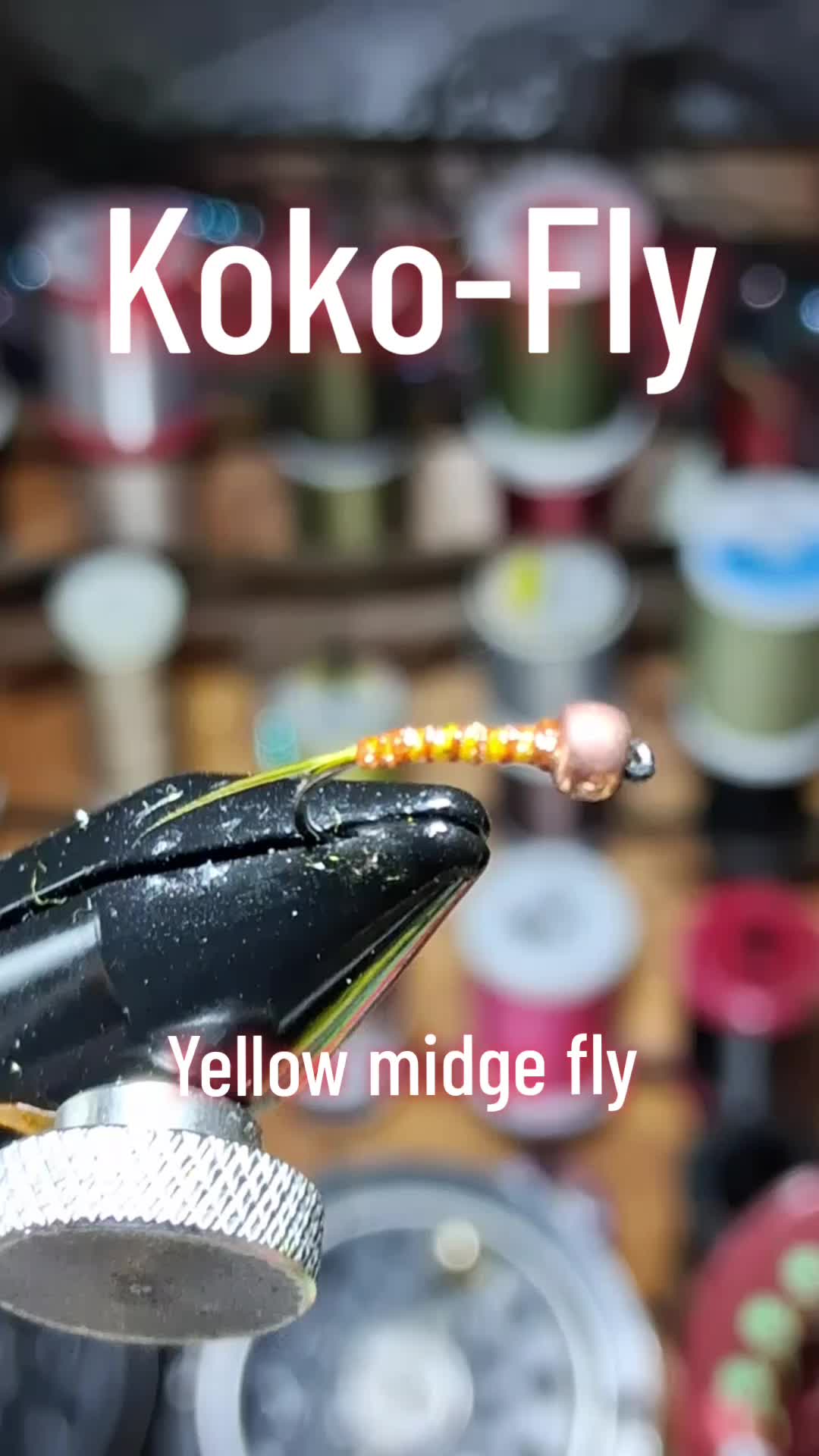 @KOKO-FLY