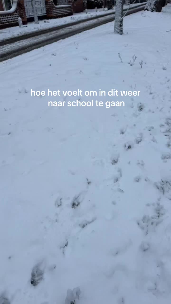 @vero🐻🦦🦔