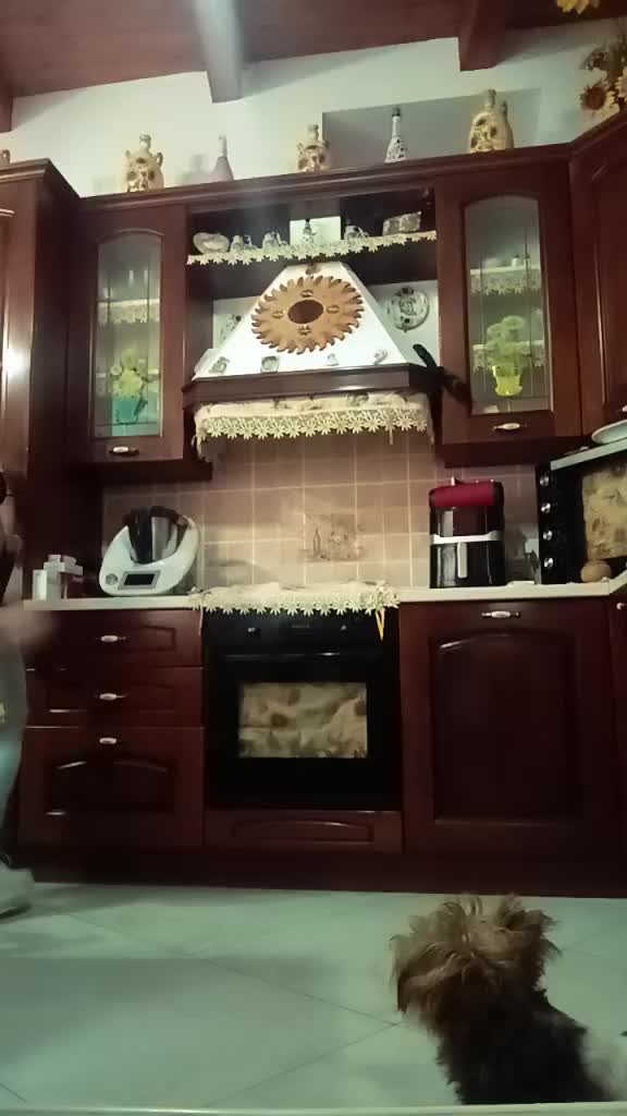 @Carmyy