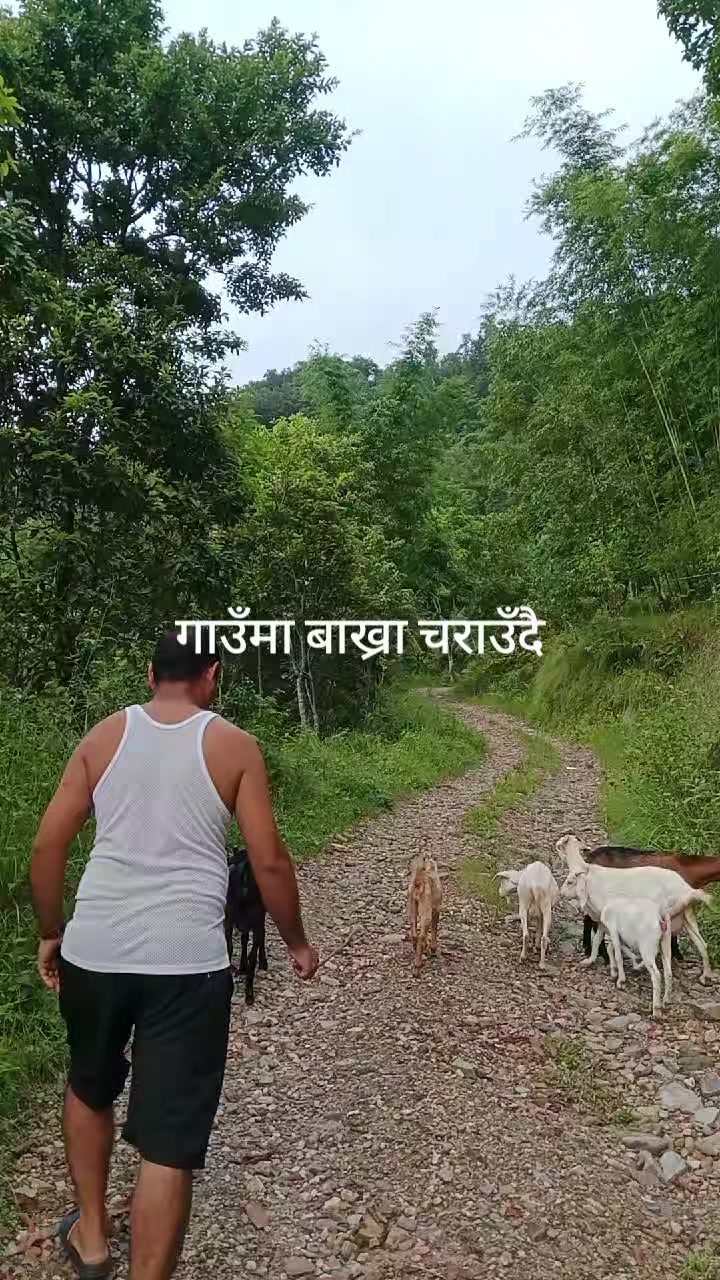 @जAराM