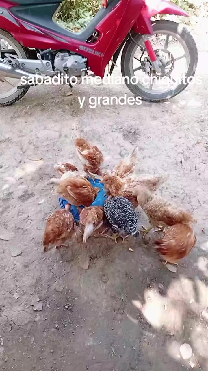 @Linda Martinez