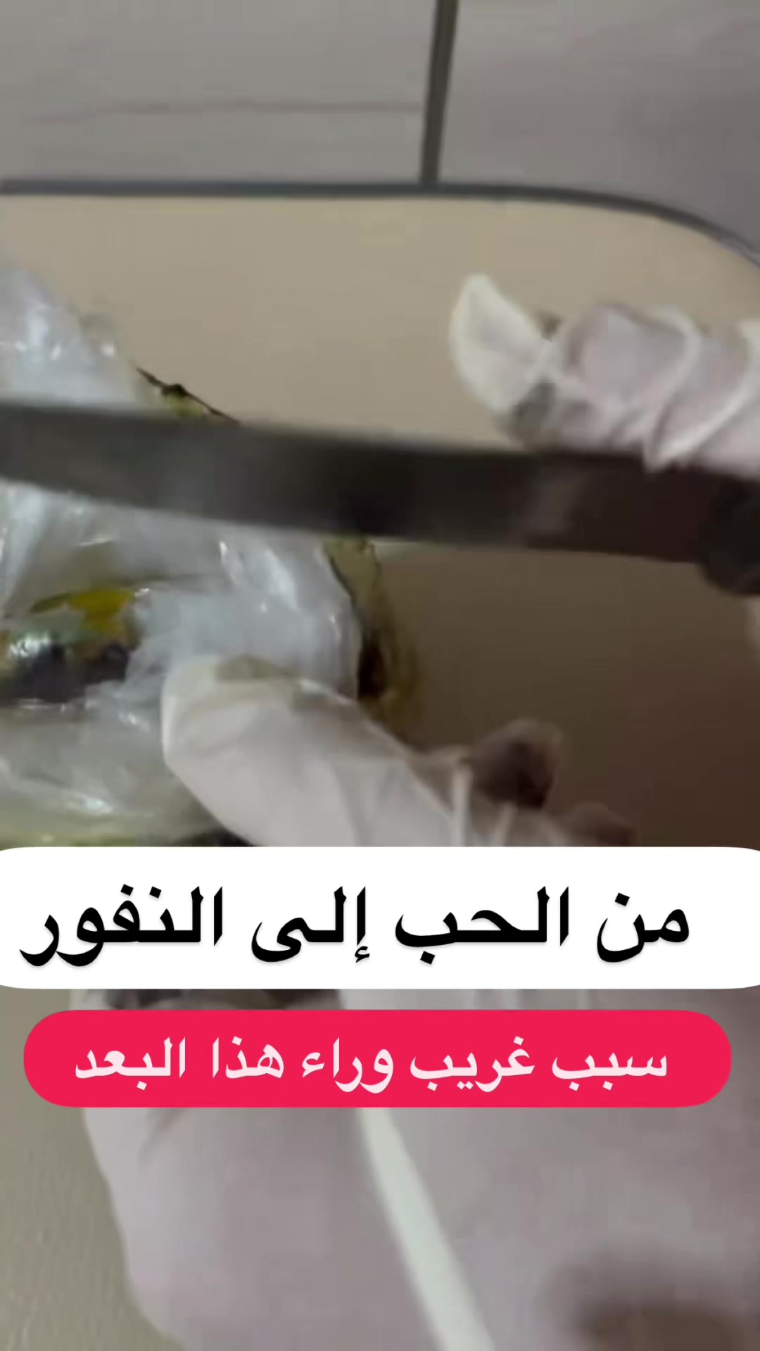 @معالجة روحانية أم عبّد الرزاق