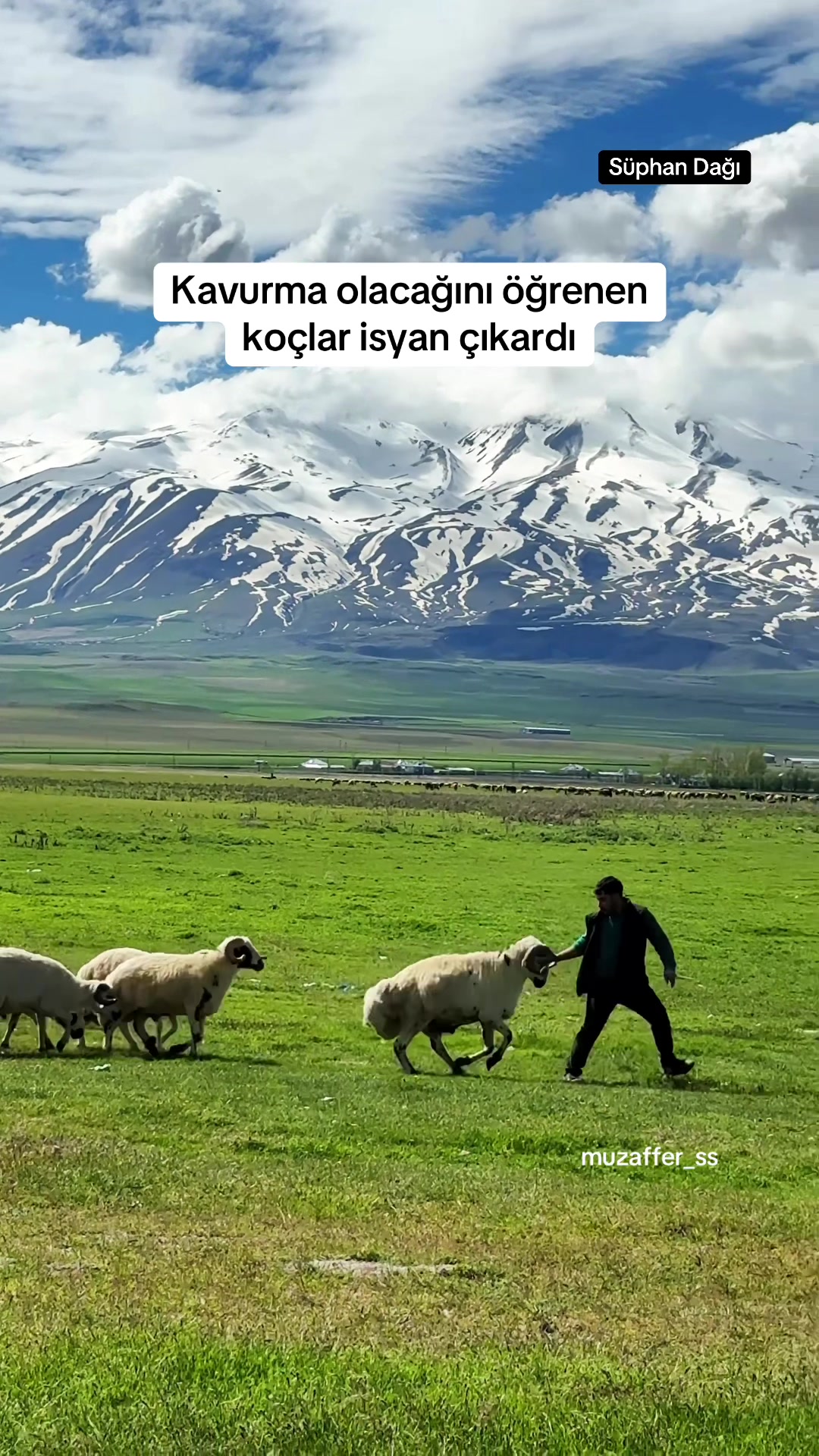 @Muzaffer Salcıoğlu