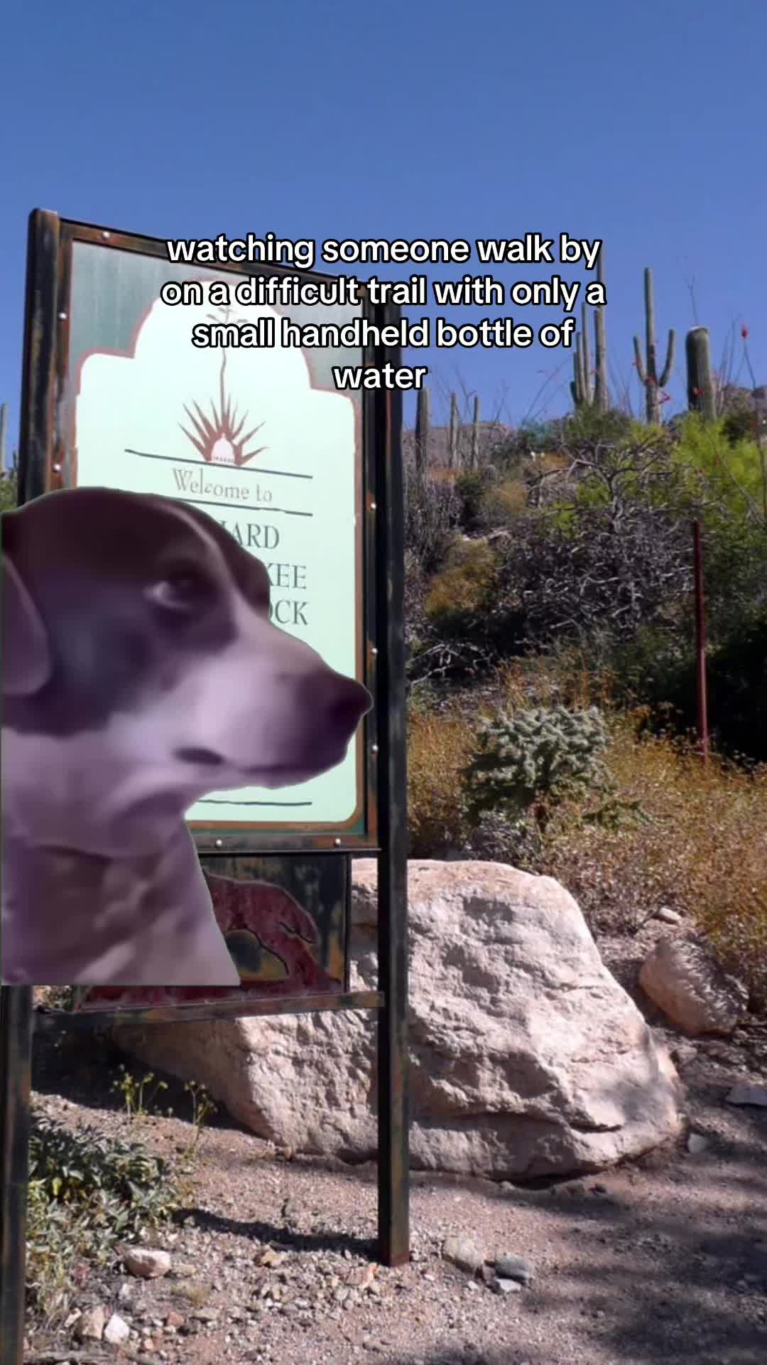 @SARA