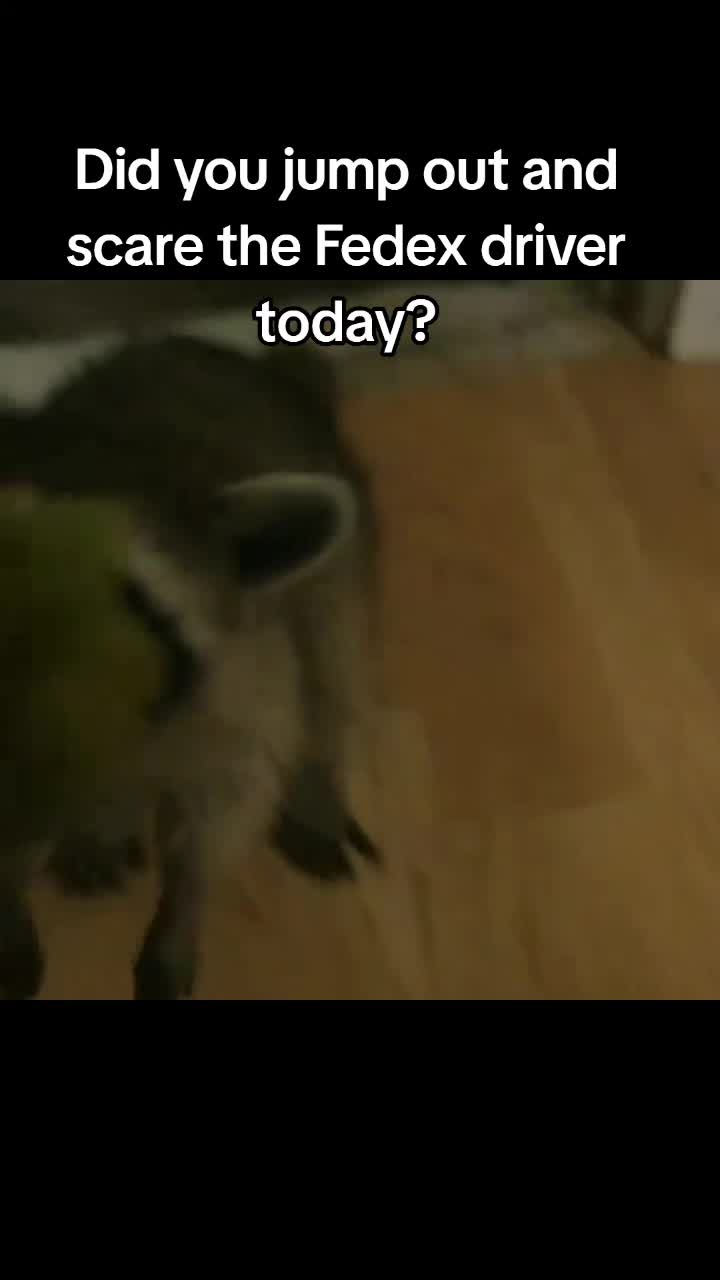 @MrHaunted