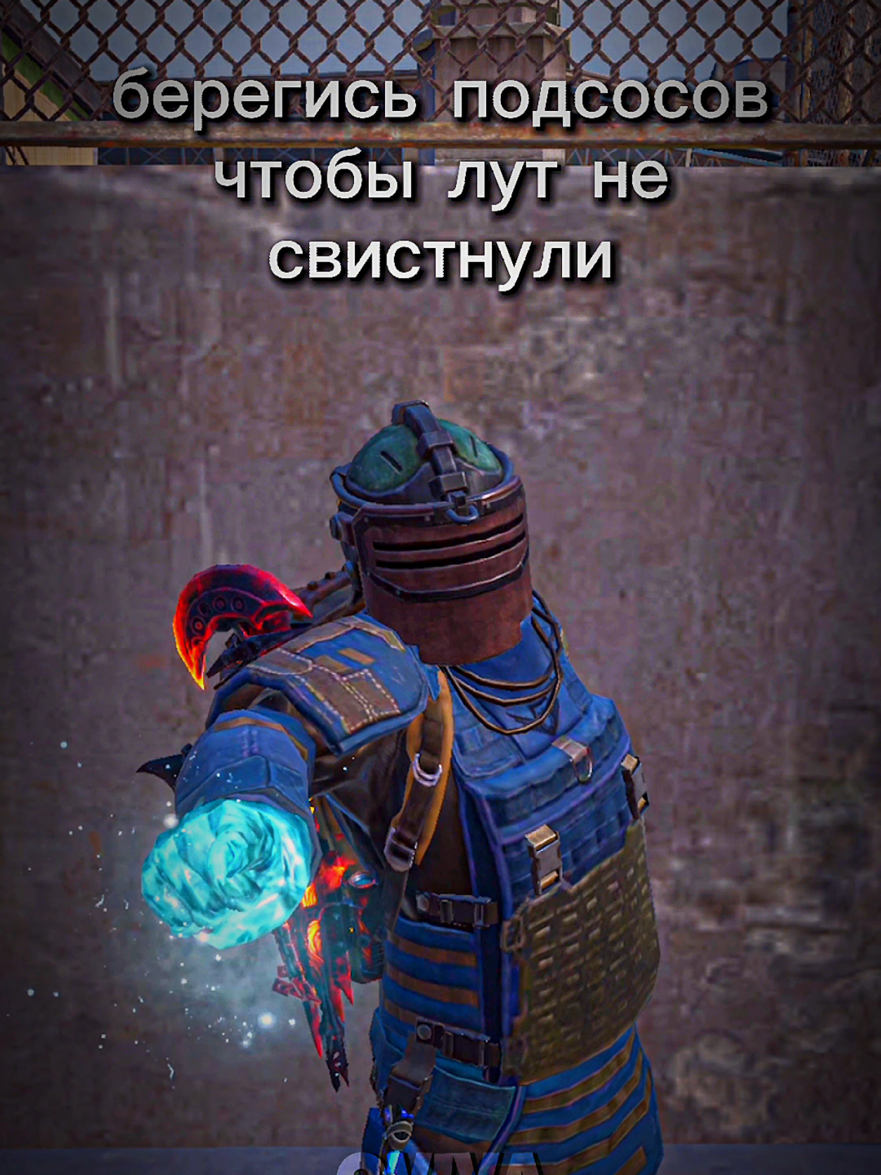 @QVIVA