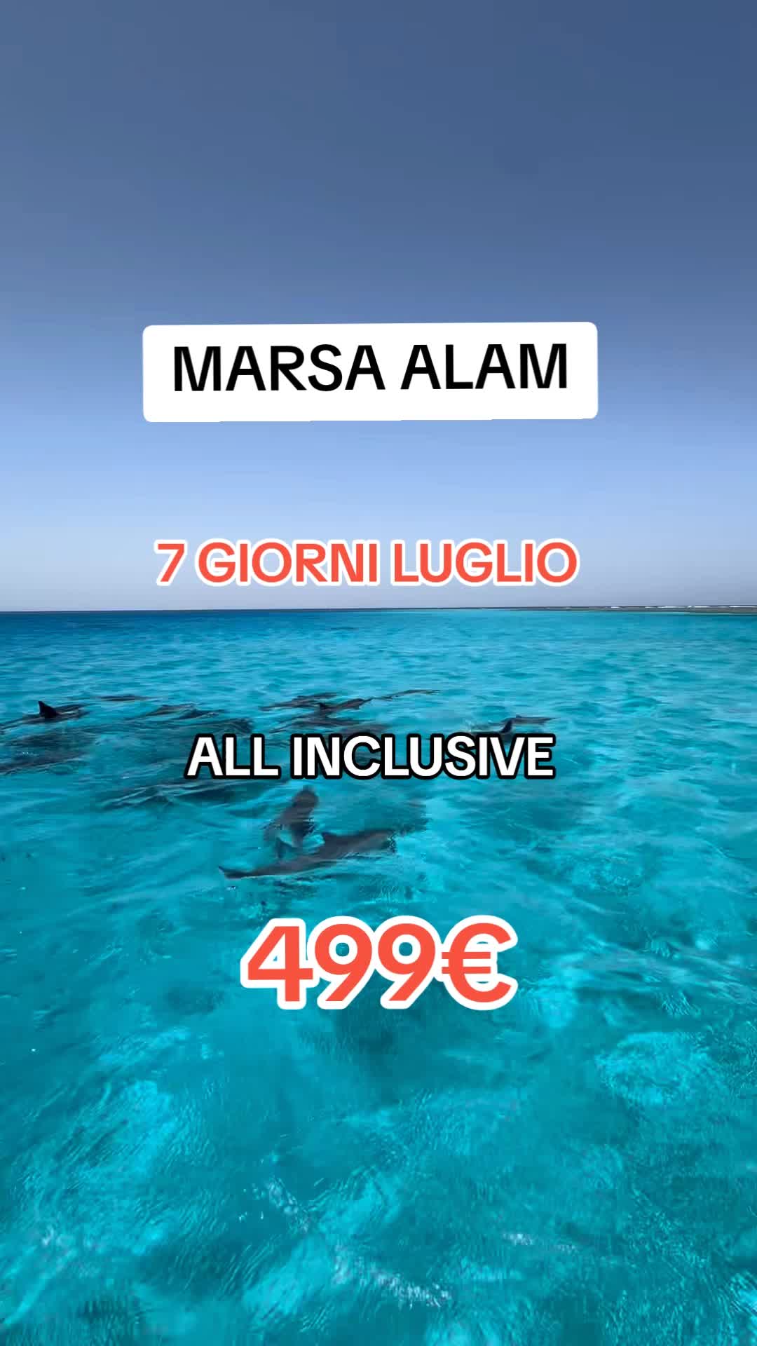 @viaggiacolmerlo