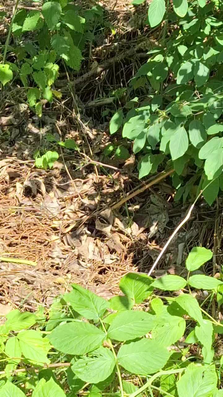 @Natur und Garten