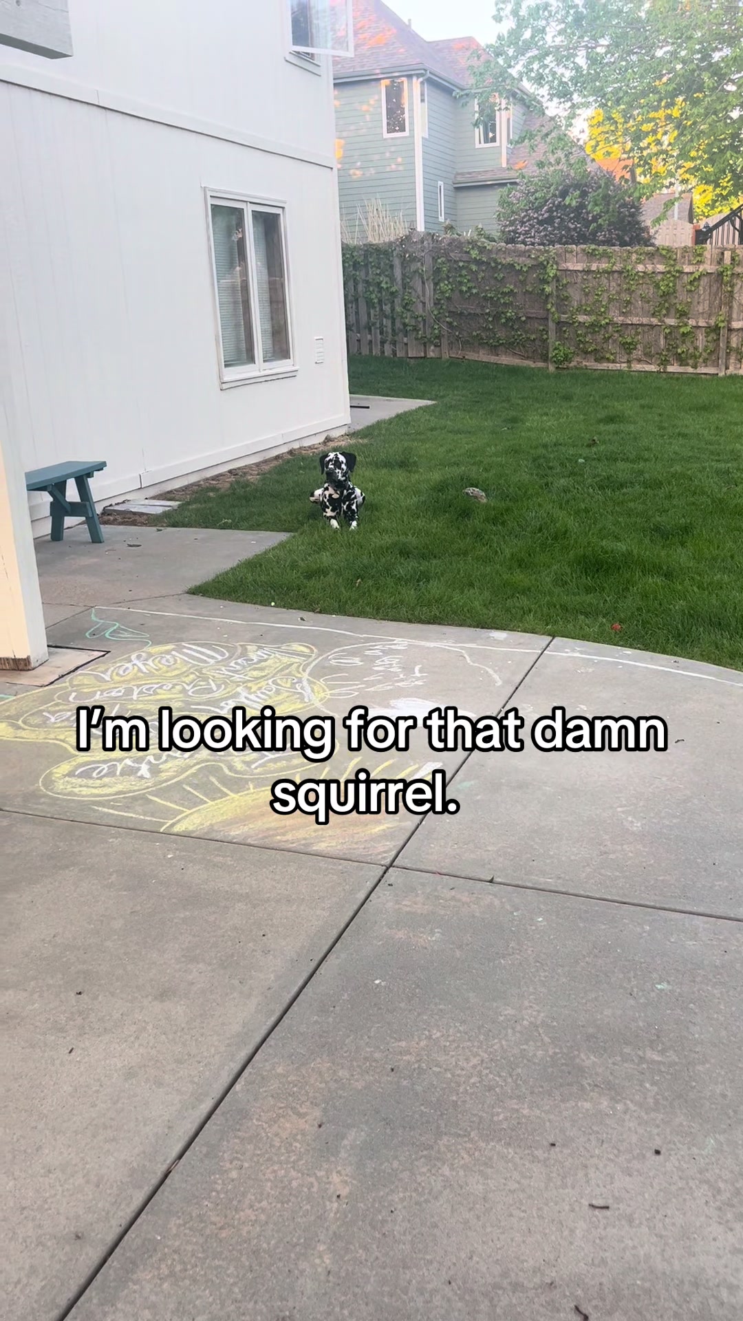 @Cannoli