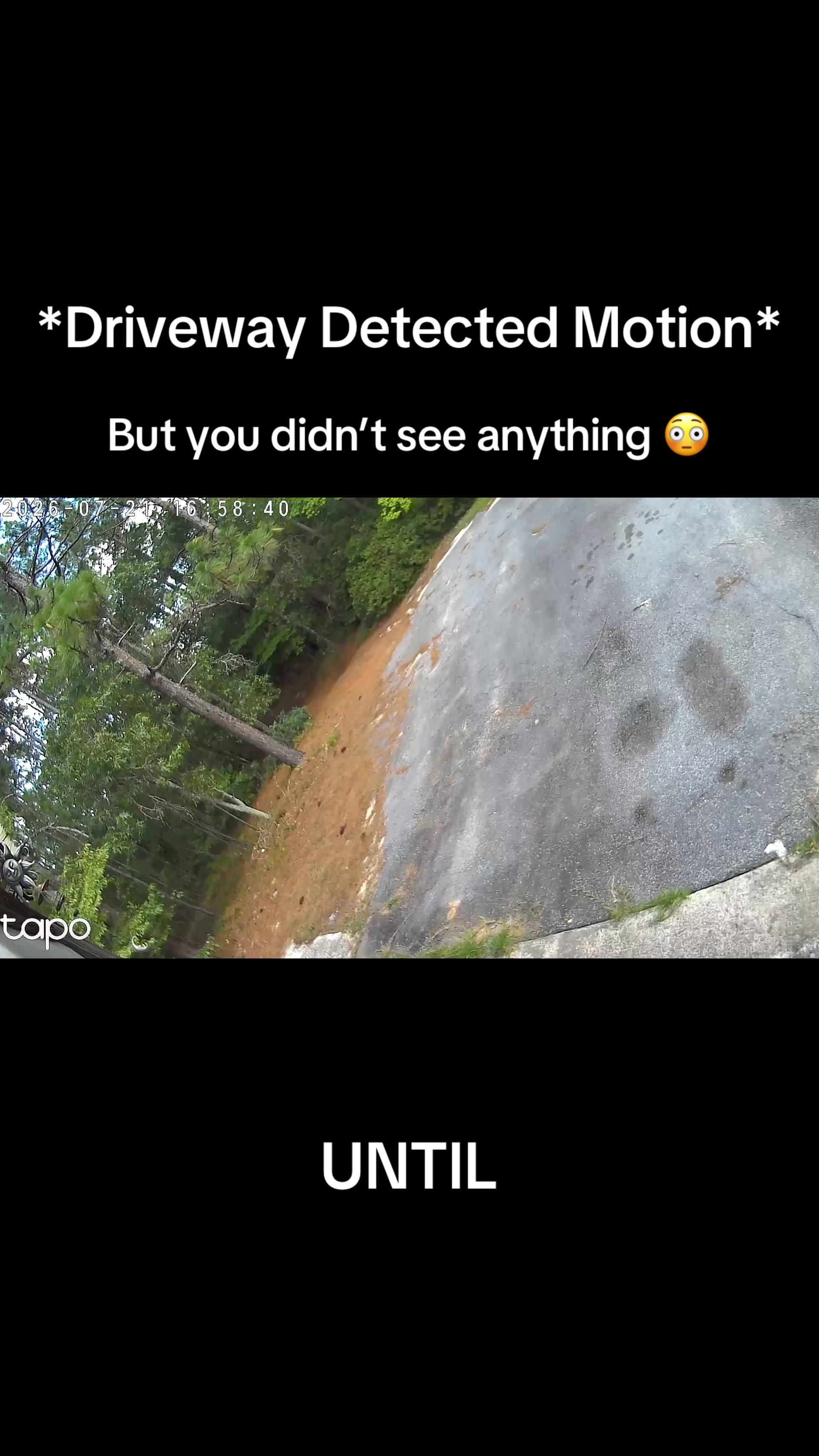 @SaraWood