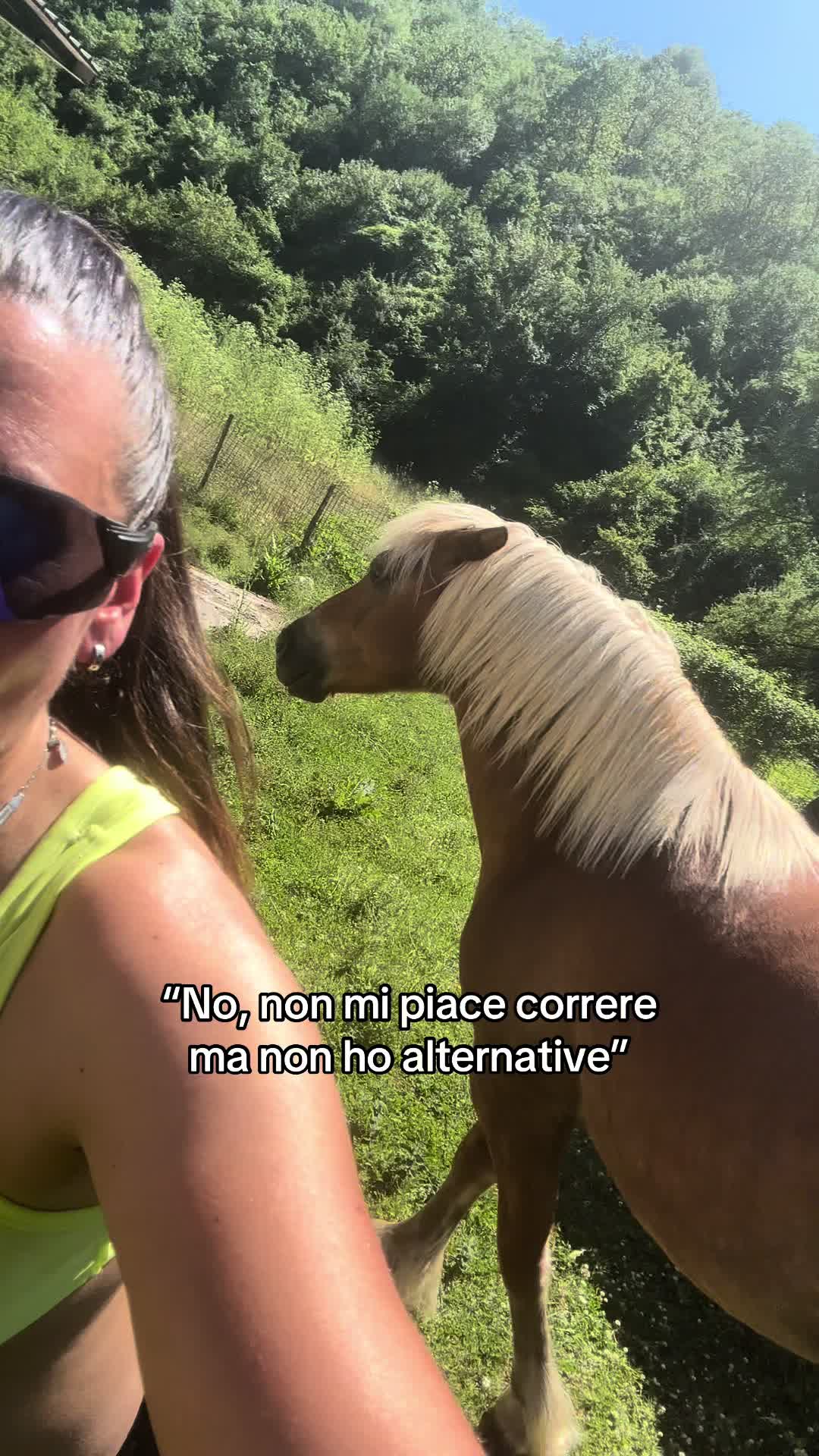 @black_the_friesian