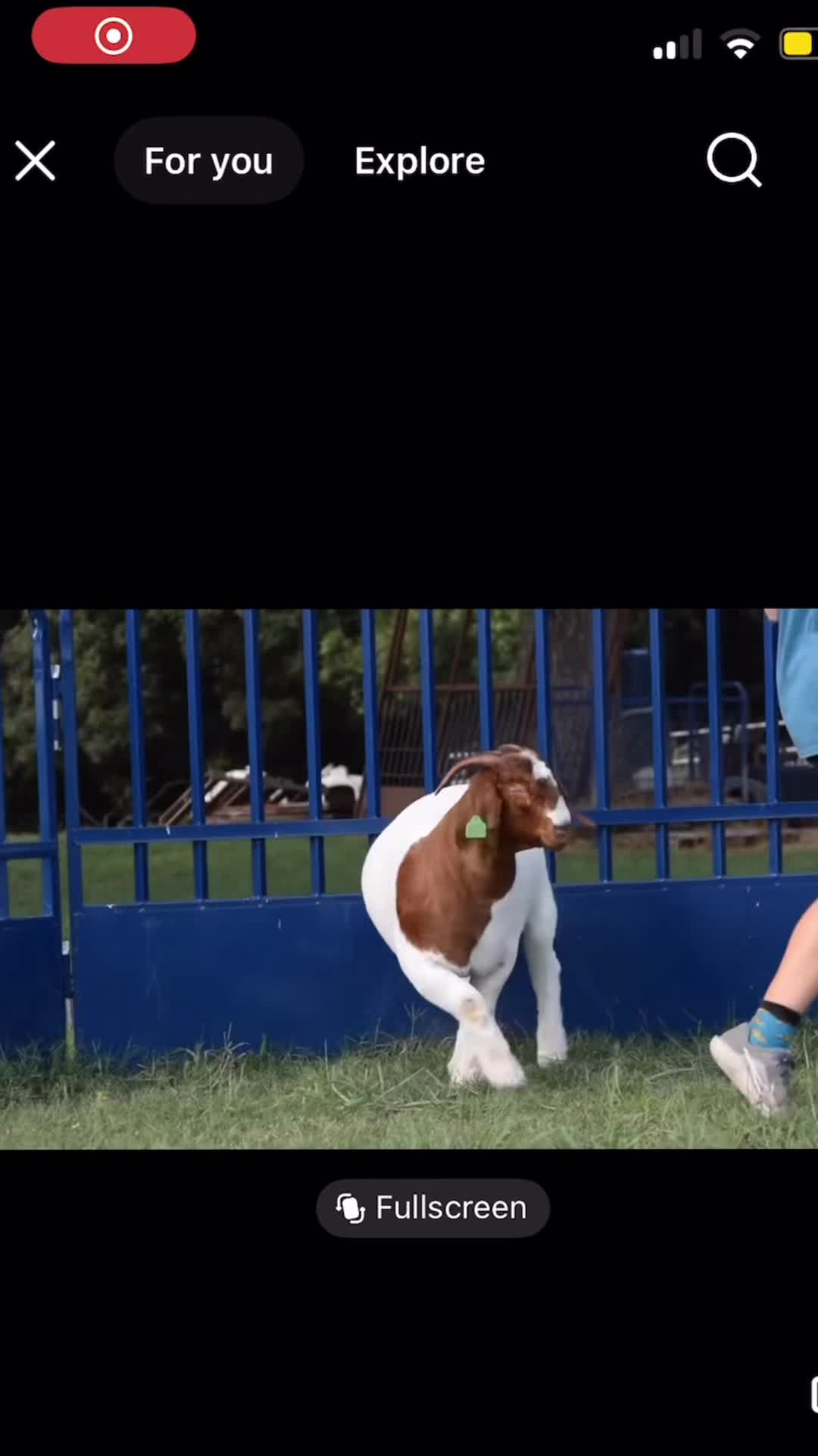 @Jmertinsfarm