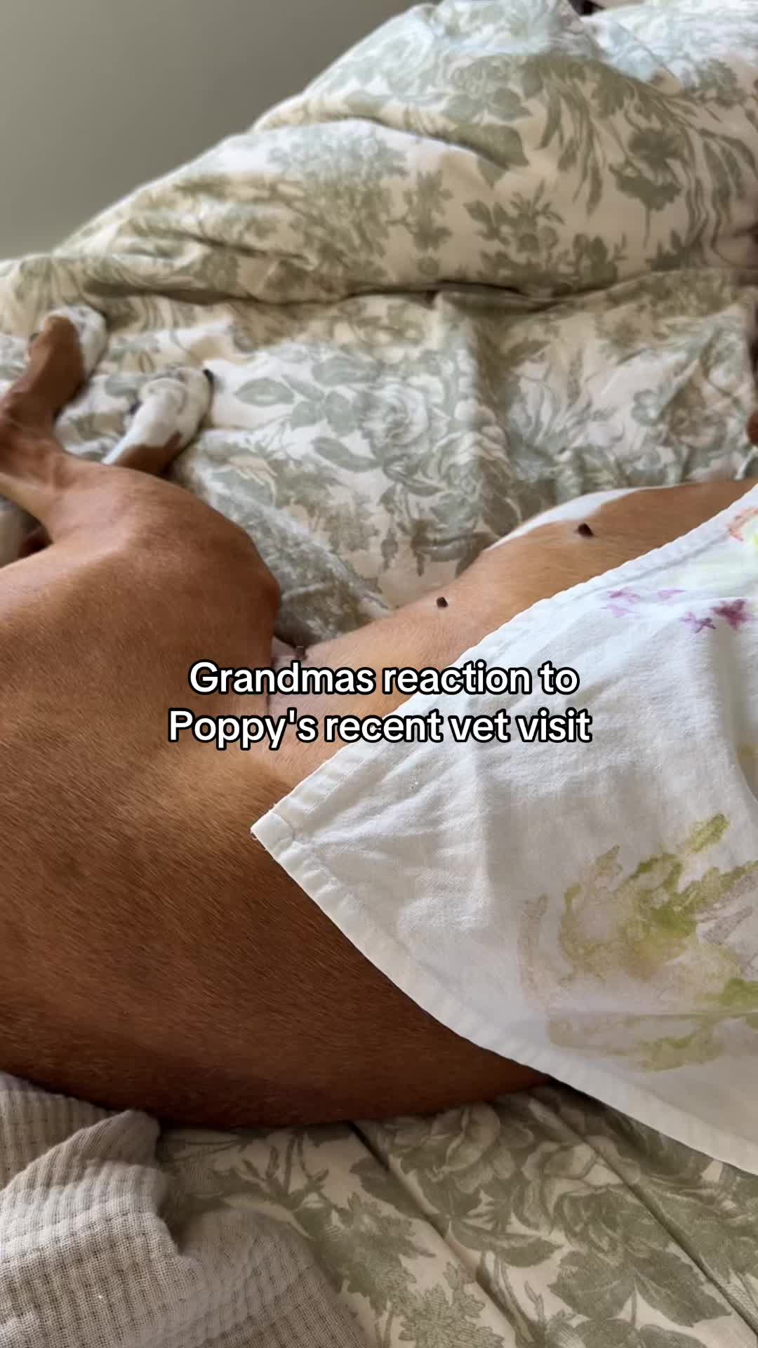@Princess Poppy