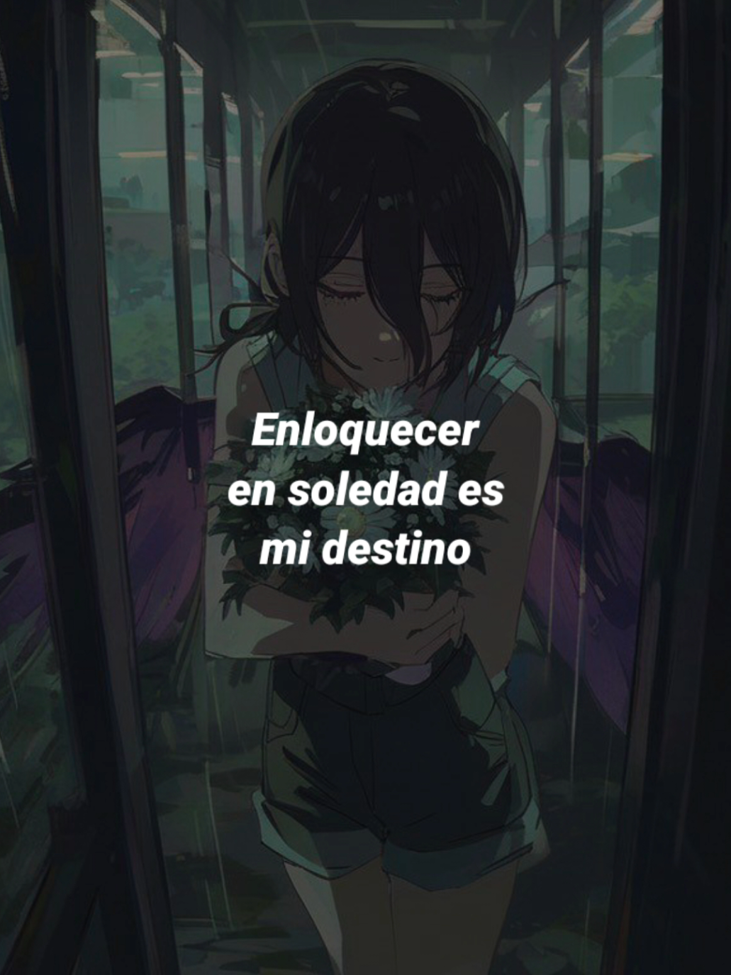 @✨️Angel✨️