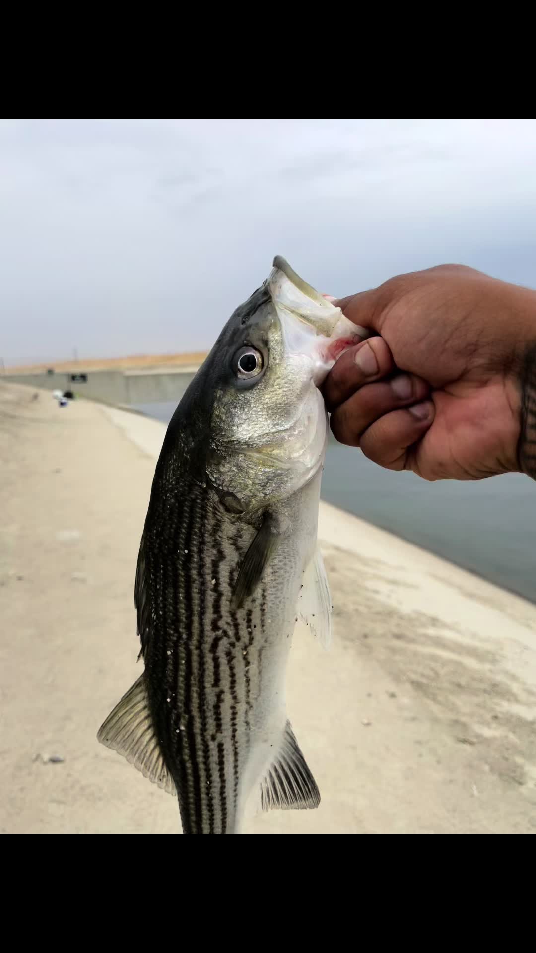 @Cast2Catch_661